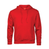 BOSTON HOODIE